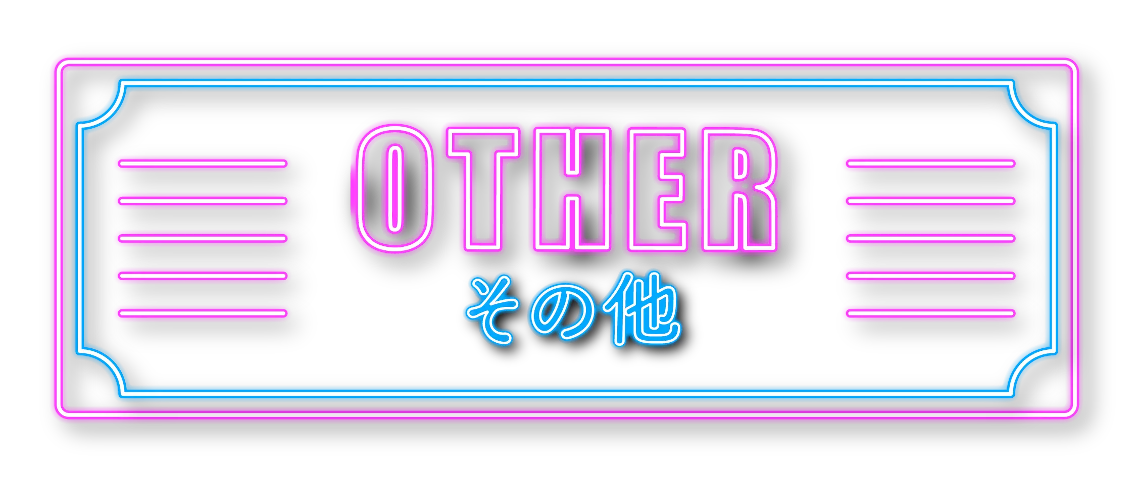 OTHER その他